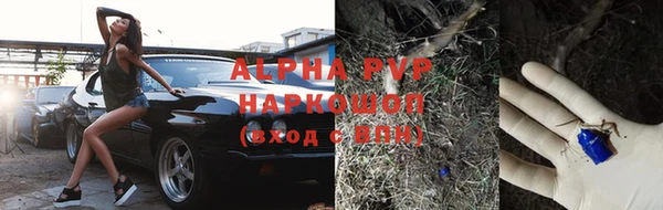 стафф Армянск